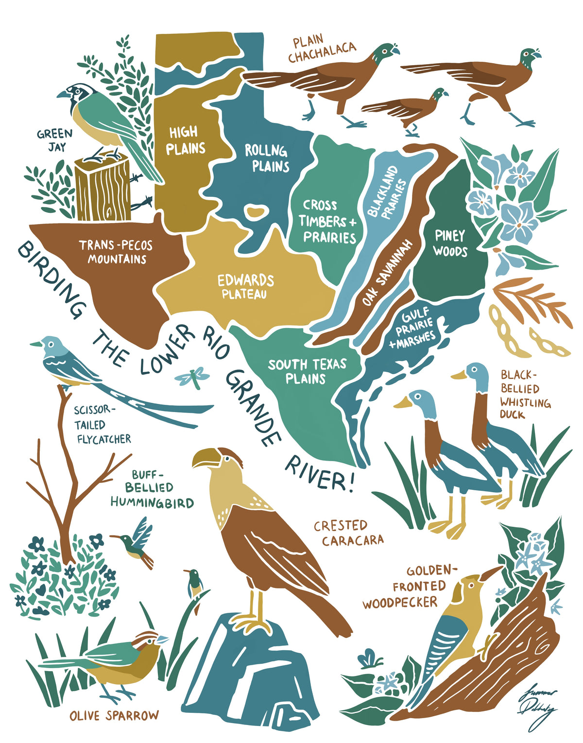 Places We Bird