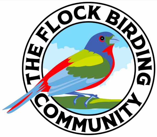 Logo of 'The Flock Birding Community' with a colorful bird illustration.